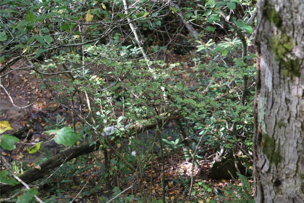 0 Lambsburg Road, Unit 24 AC Fancy Gap, VA 24328 - Photo 13 of 21 Gallery Image 13