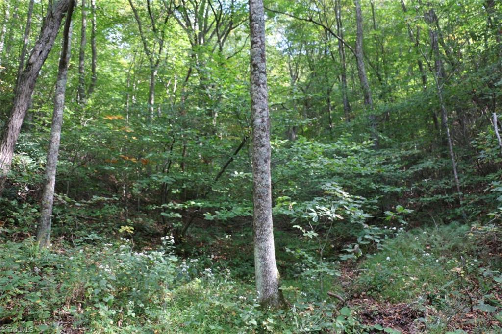 0 Lambsburg Road, Unit 24 AC Fancy Gap, VA 24328 - Photo 14 of 21 Gallery Image 14