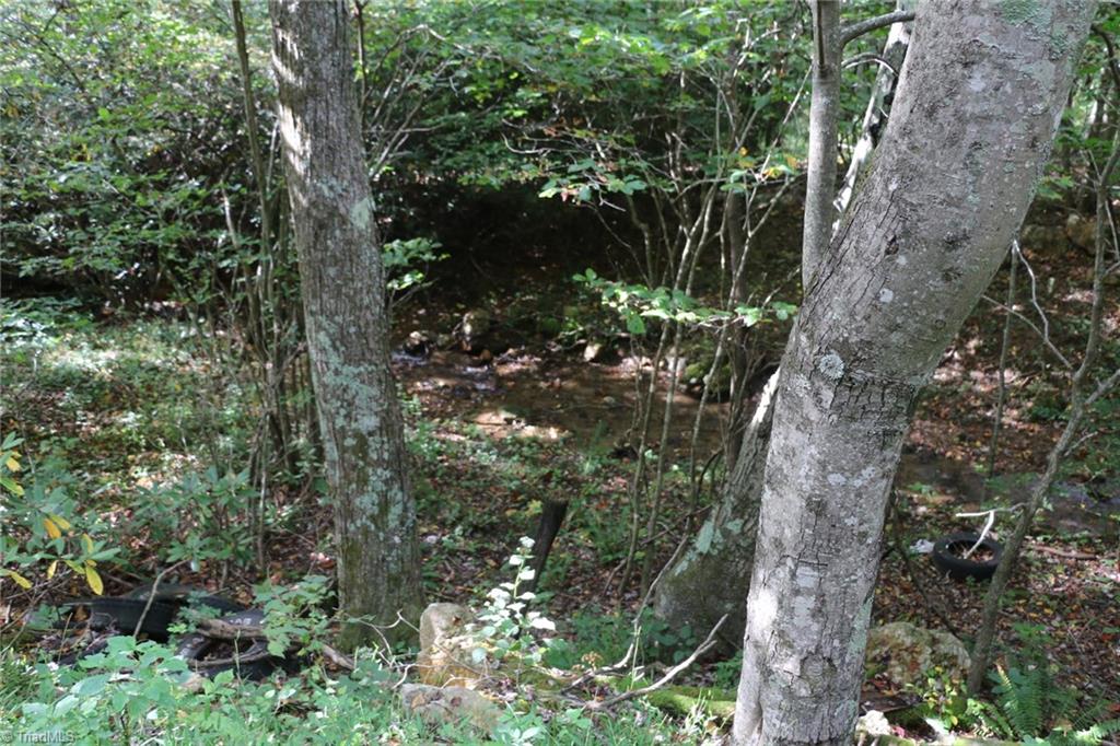 0 Lambsburg Road, Unit 24 AC Fancy Gap, VA 24328 - Photo 16 of 21 Gallery Image 16