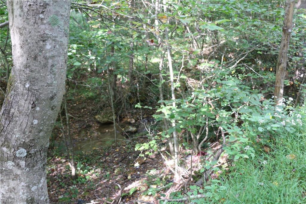 0 Lambsburg Road, Unit 24 AC Fancy Gap, VA 24328 - Photo 17 of 21 Gallery Image 17