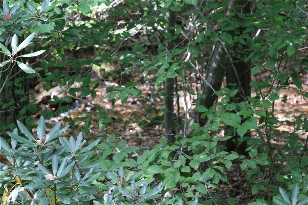 0 Lambsburg Road, Unit 24 AC Fancy Gap, VA 24328 - Photo 8 of 21 Gallery Image 8