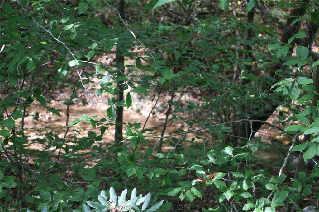 0 Lambsburg Road, Unit 24 AC Fancy Gap, VA 24328 - Photo 9 of 21 Gallery Image 9