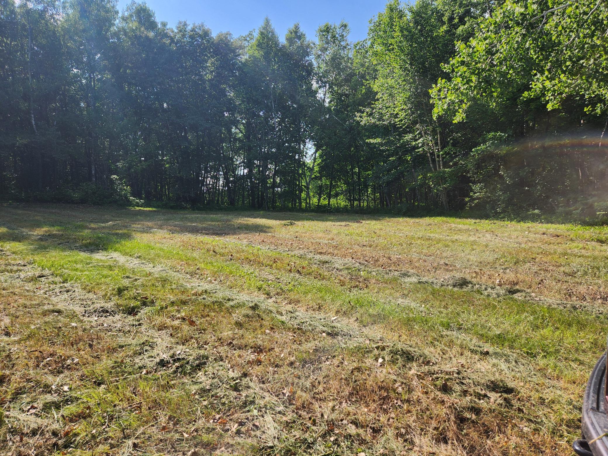 Tbd Tbd Nokay Hall Road Brainerd, MN 56401 - Photo 12 of 31