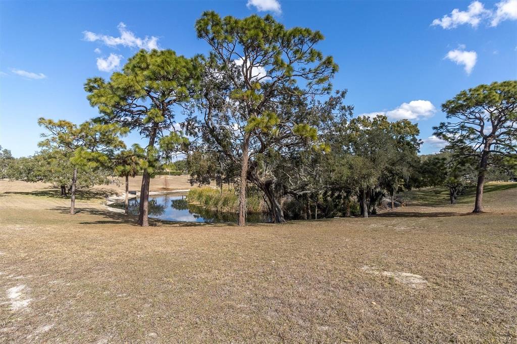 8221 Sulky Court, Unit 1 Port Richey, FL 34668 - Photo 26 of 55