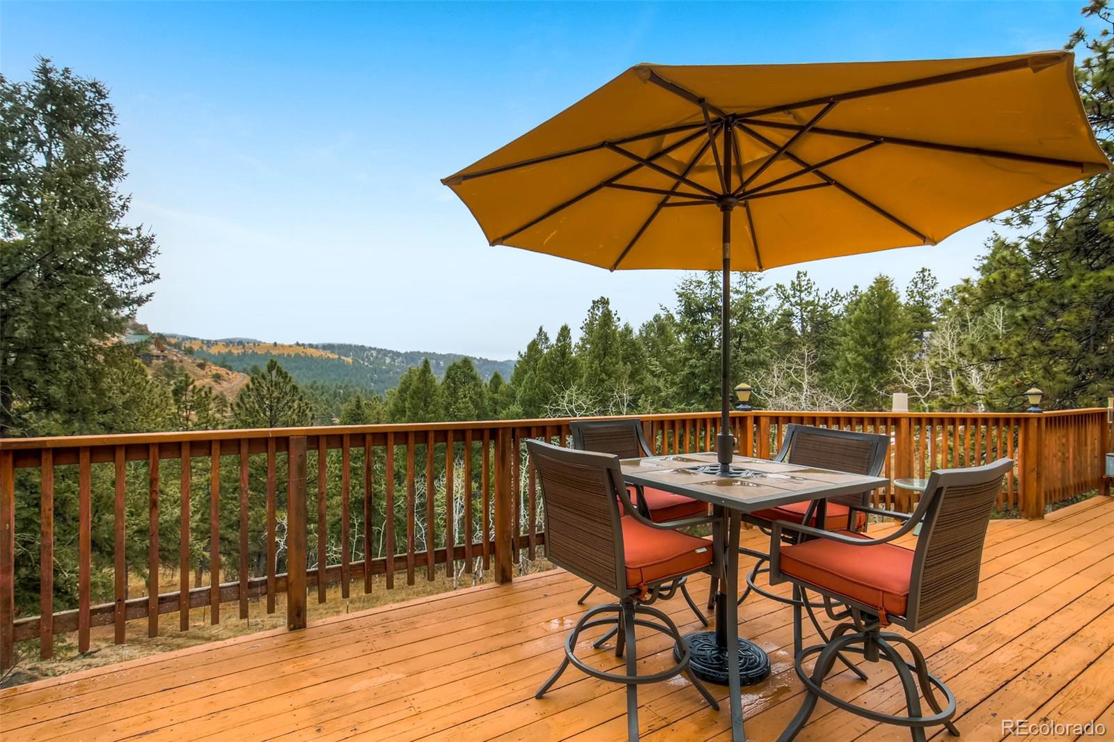 2347 Roland Drive Bailey, CO 80421 - Photo 23 of 28 Gallery Image 23