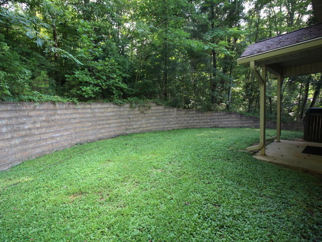 7733 Berry Williams Road Townsend, TN 37882 - Photo 3 of 19 77330531