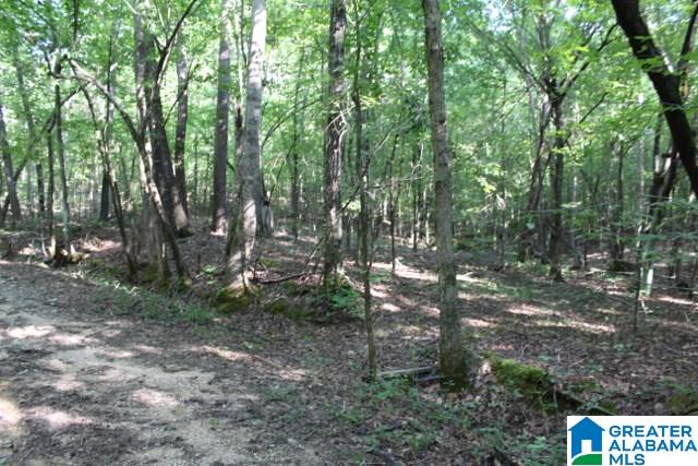 1 Benefield Gap Road Attalla, AL 35954 - Photo 16 of 50