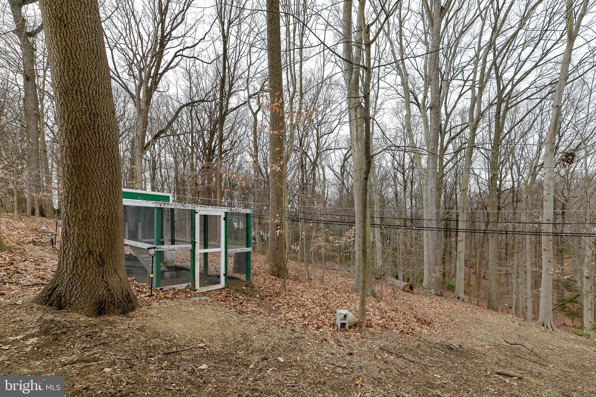 913 Penn Valley Road Media, PA 19063 - Photo 40 of 51 Property lines extend past the fence into woods