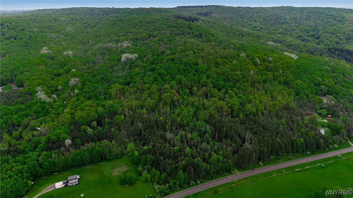 Vl Maples Road Little Valley, NY 14755 - Photo 11 of 12
