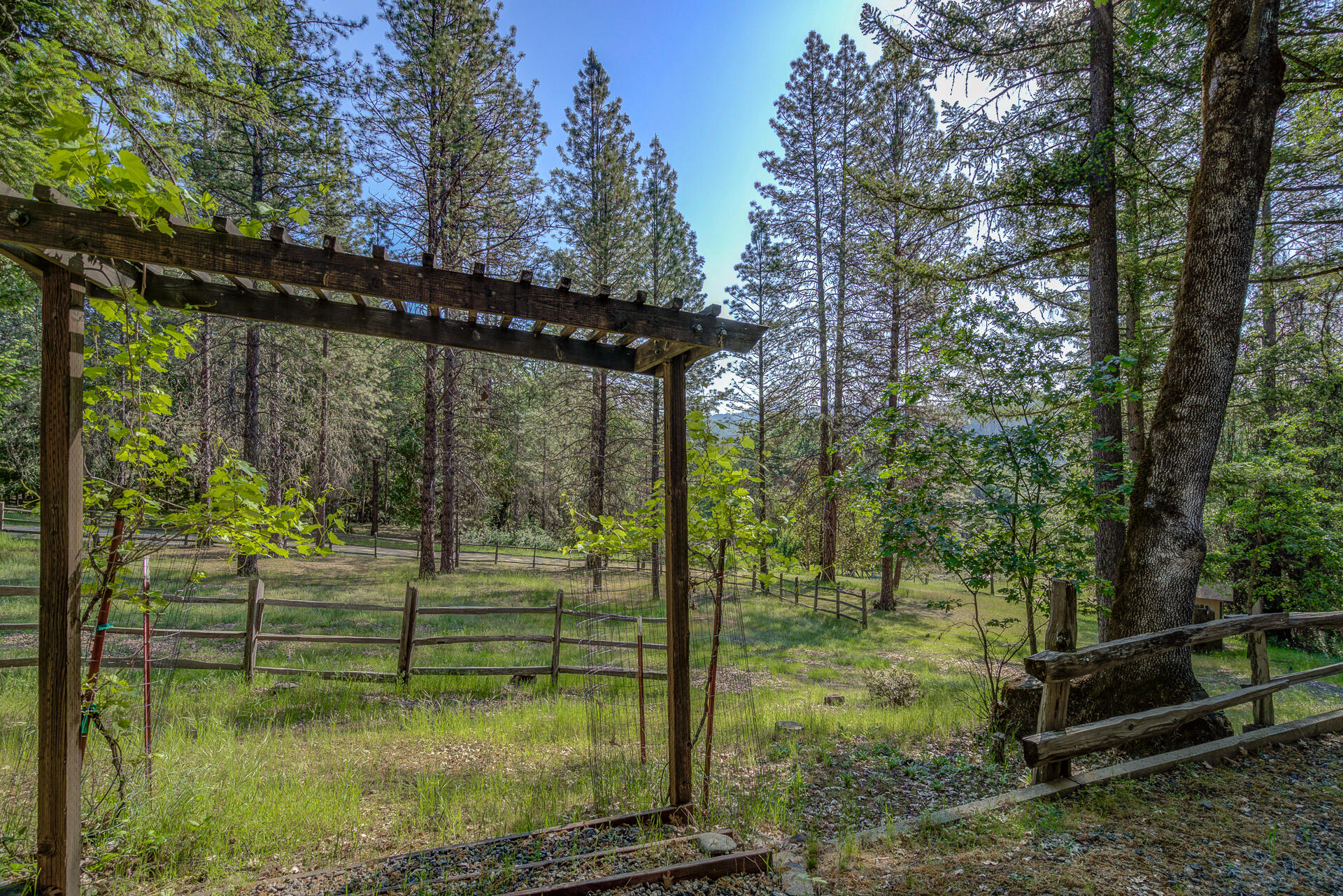 551 Salt Flat Road Lewiston, CA 96052 - Photo 27 of 29 a view of a small yard