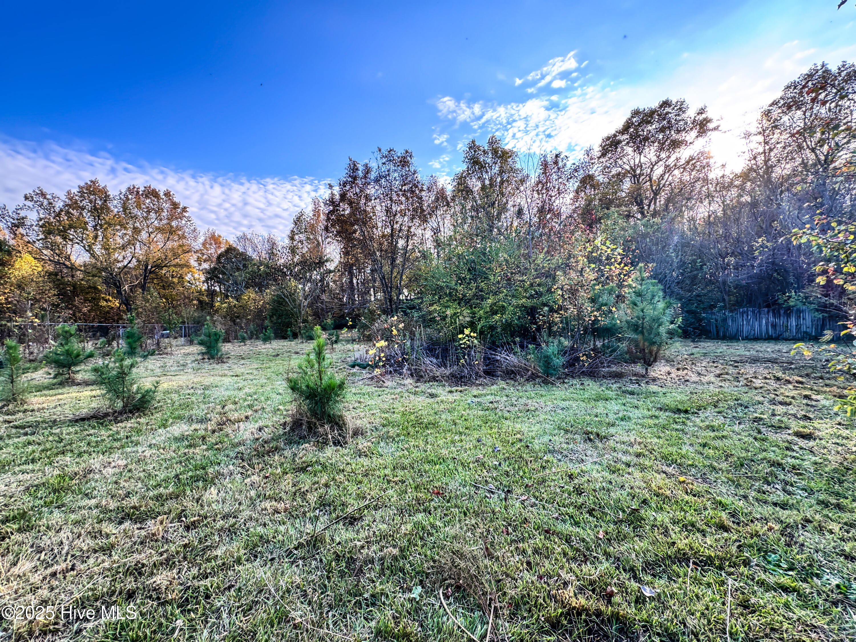 1330 Campground Road Selma, NC 27576 - Photo 30 of 30 37