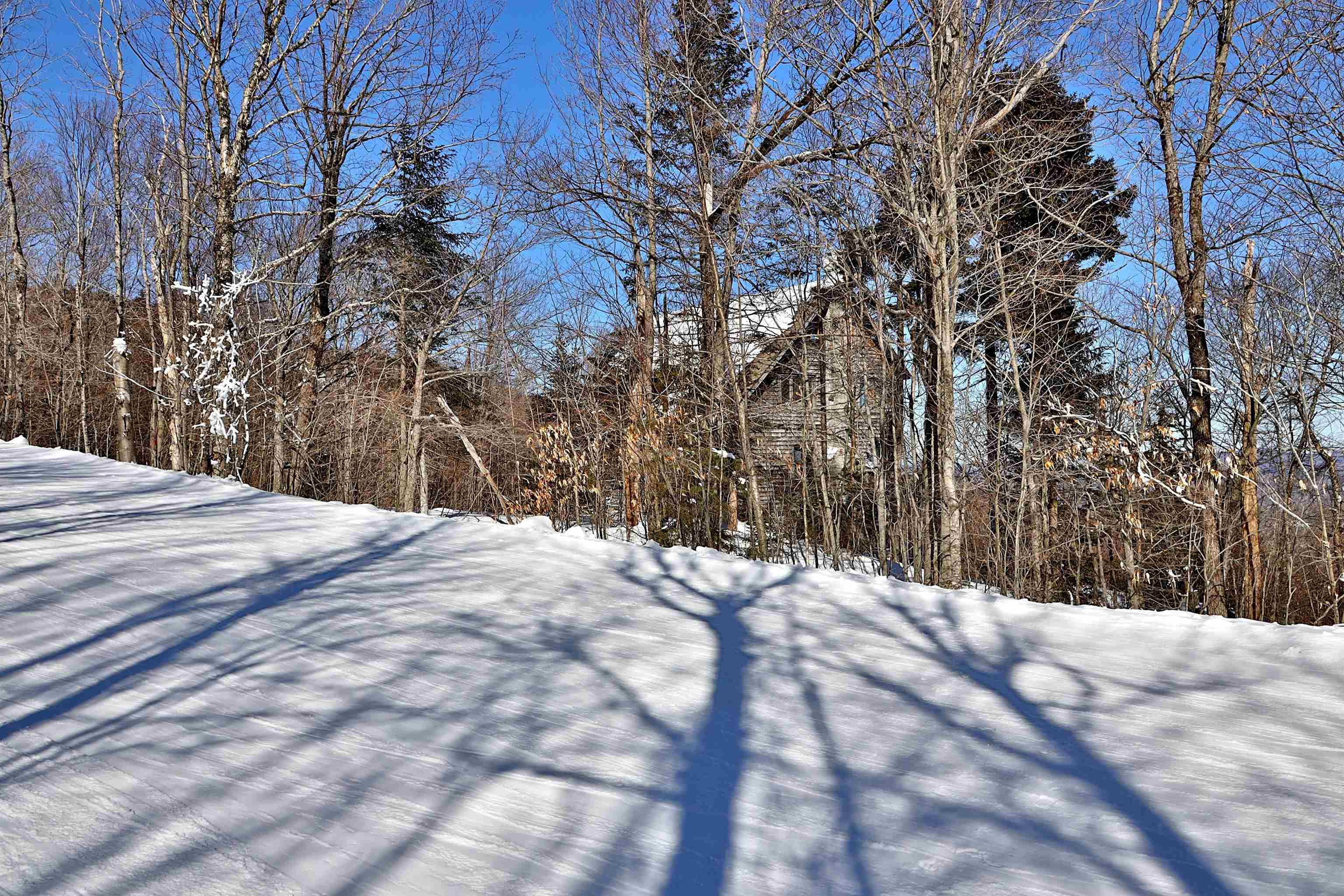 1300 Mountain Road Ludlow, VT 05149 - Photo 25 of 29