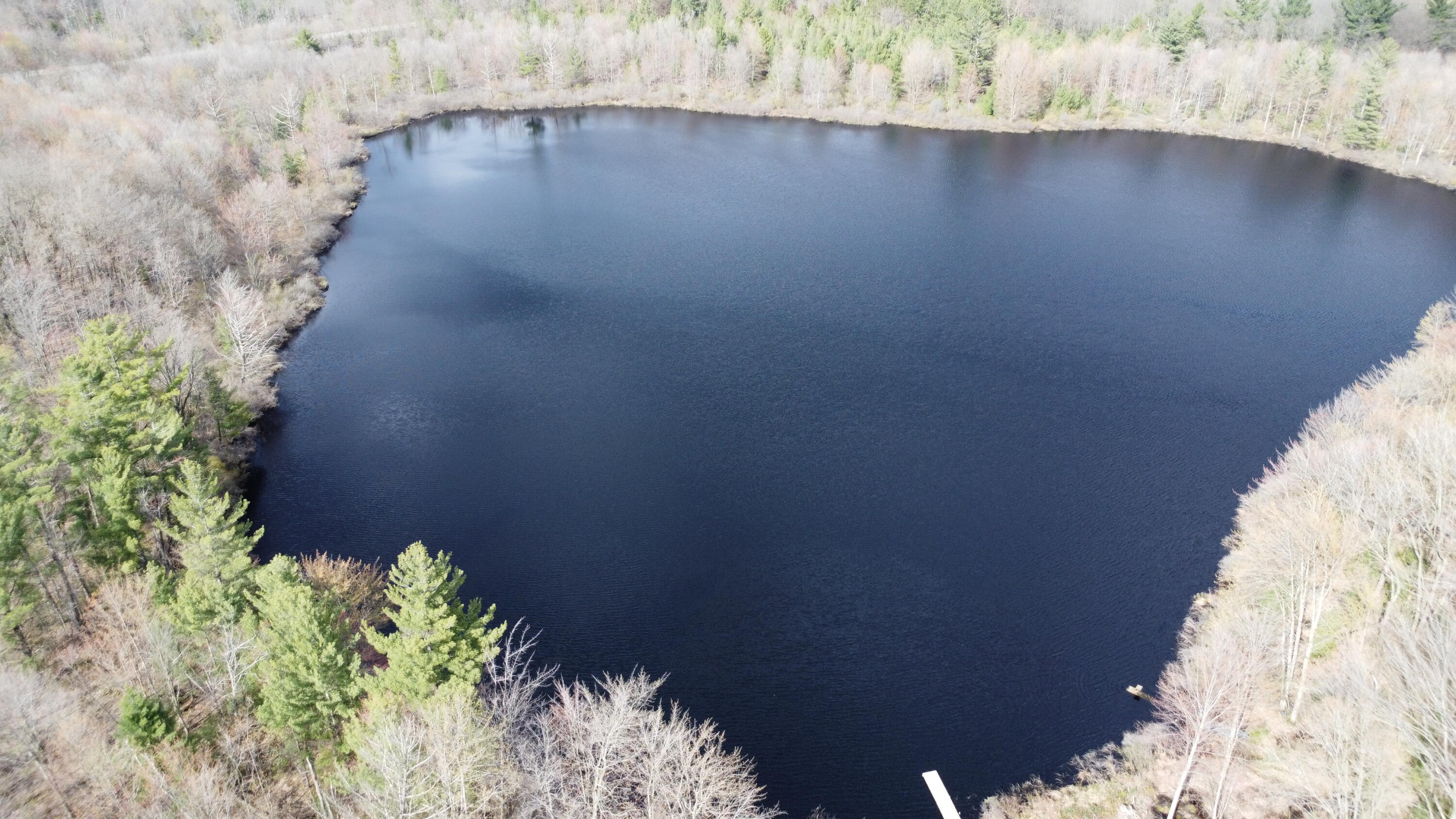 6416 East Rossell Lake Road Walkerville, MI 49459 - Photo 18 of 24 DJI_0025