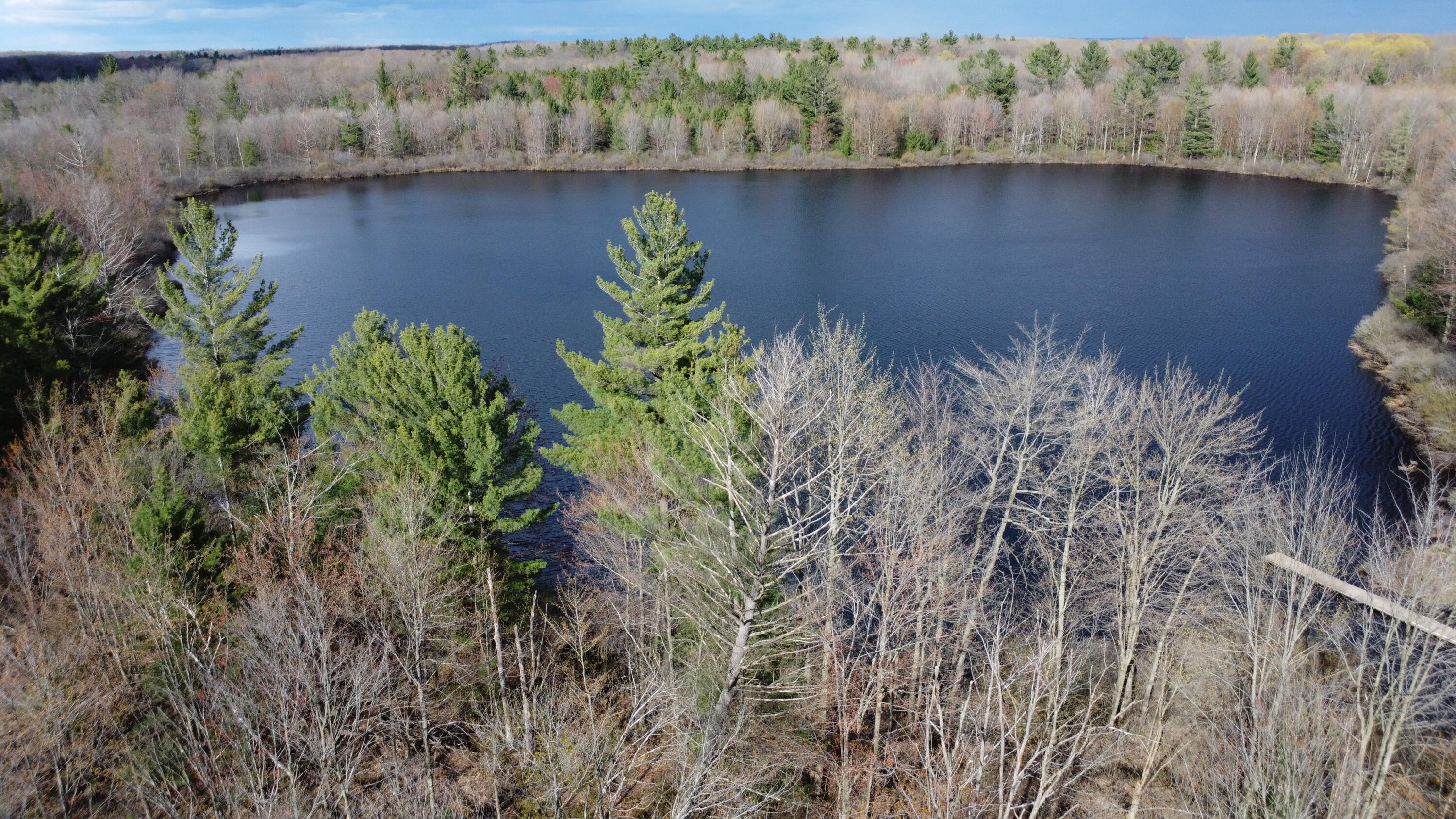 6416 East Rossell Lake Road Walkerville, MI 49459 - Photo 20 of 24 DJI_0075