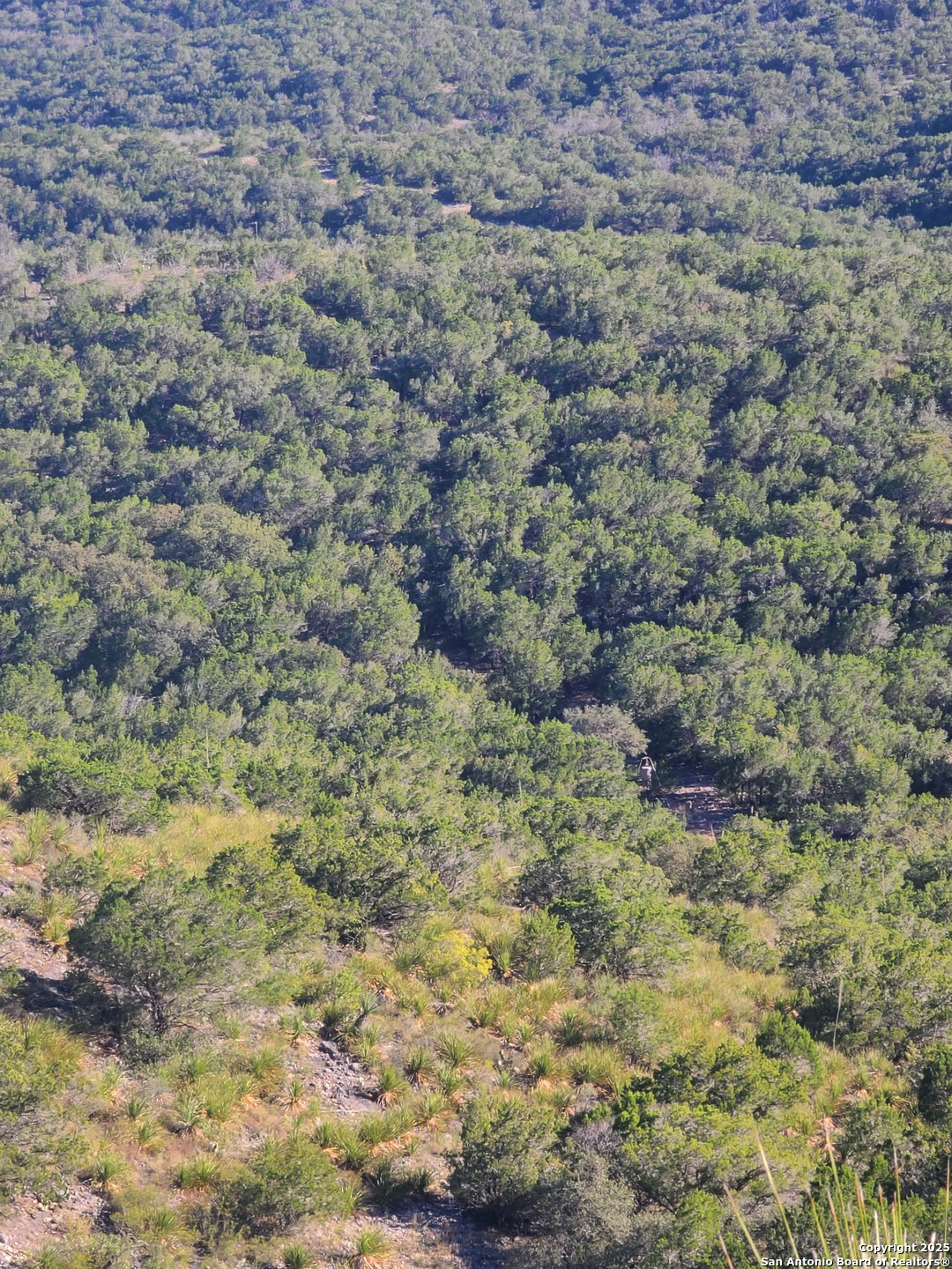 H55 C408 Uvalde, TX 78801 - Photo 14 of 16 a view of a dry yard with green space