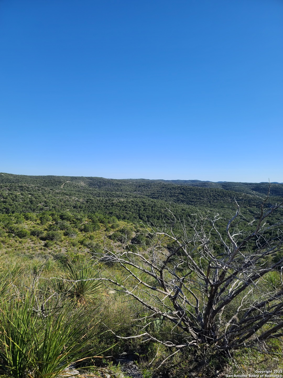 H55 C408 Uvalde, TX 78801 - Photo 2 of 16 a view of a city with lush green forest