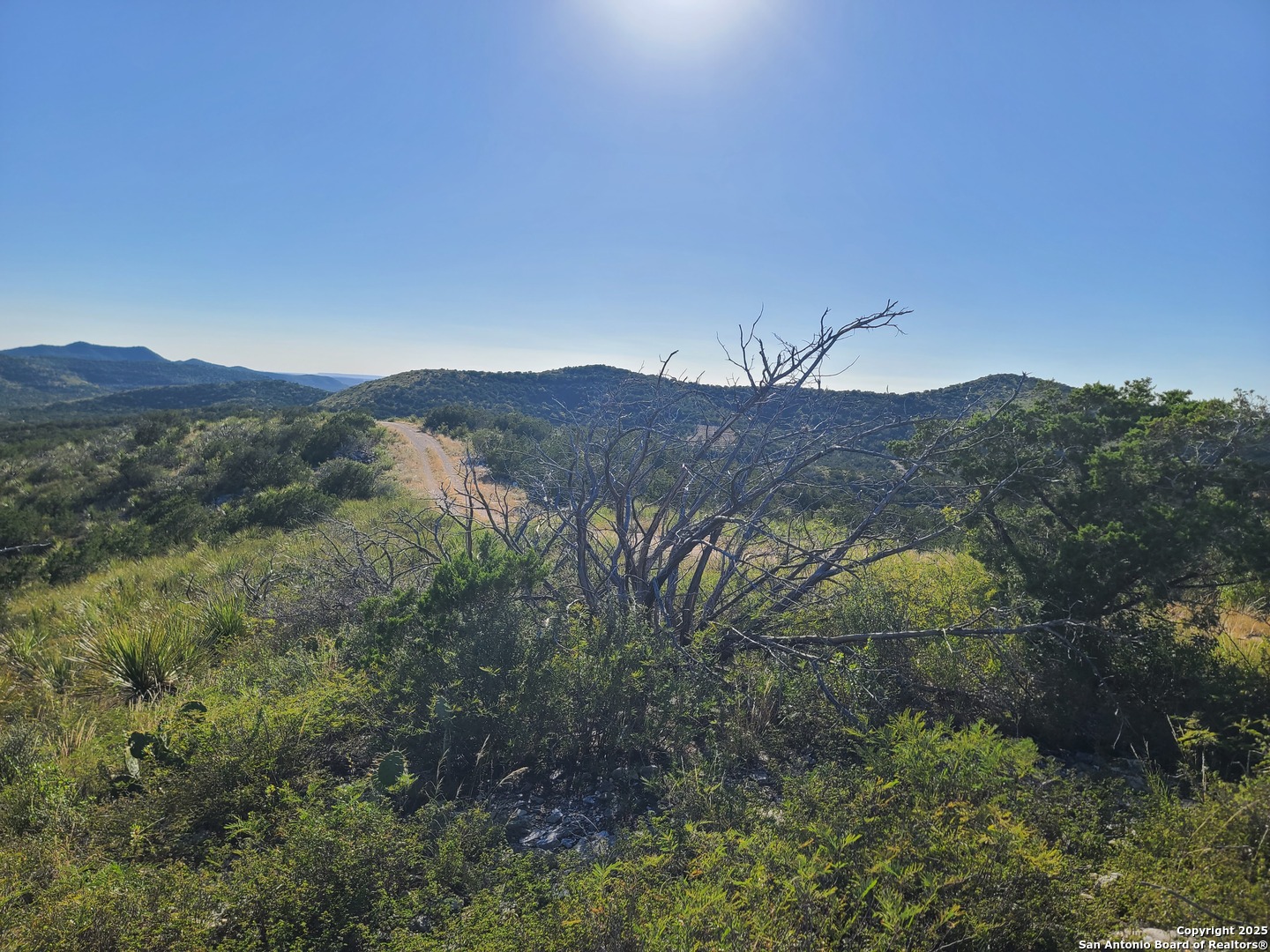 H55 C408 Uvalde, TX 78801 - Photo 7 of 16 a view of a mountain in the distance in a field