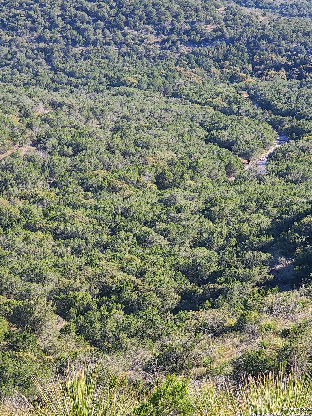 H55 C408 Uvalde, TX 78801 - Photo 8 of 16 a view of a field