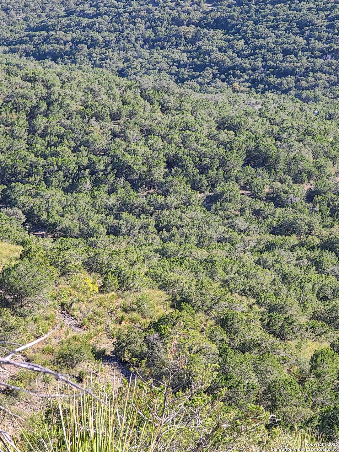 H55 C408 Uvalde, TX 78801 - Photo 9 of 16 a view of a big yard with lots of green space