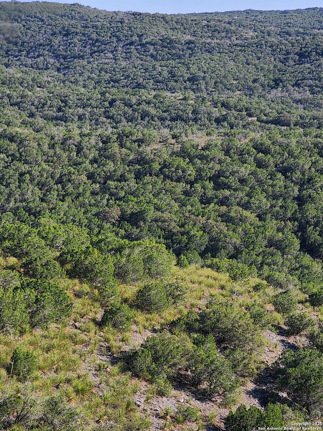 H55 C408 Uvalde, TX 78801 - Photo 10 of 16 view of a field with wooden fence