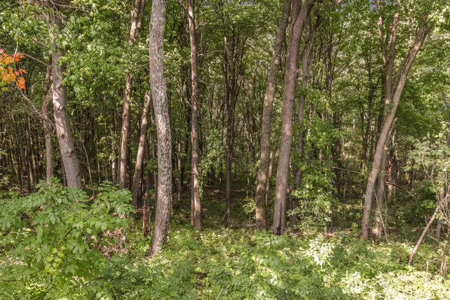 $680,000 | 0 Joe Coulee Road, Blair, WI 54616