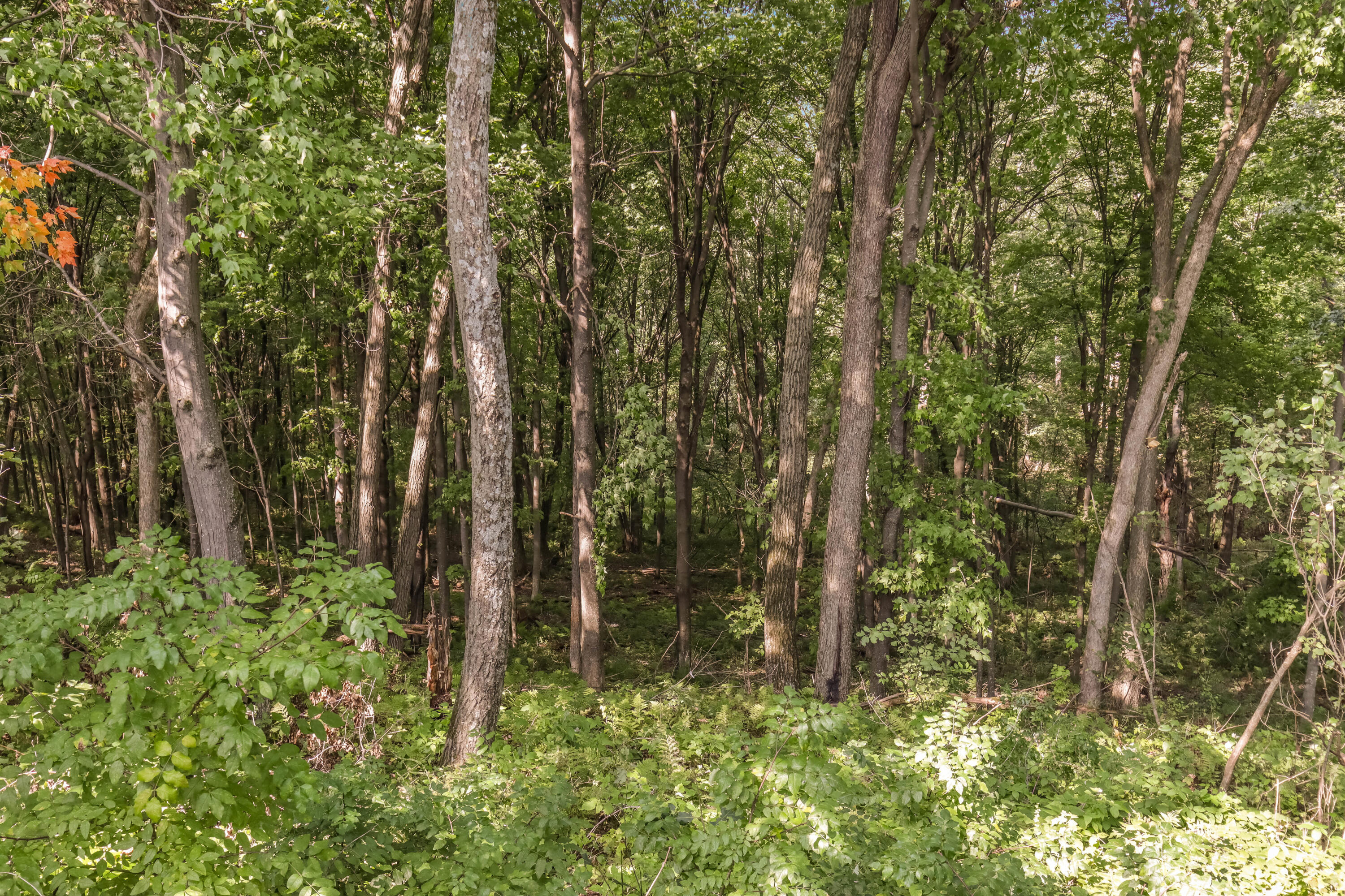 0 Joe Coulee Road Blair, WI 54616 - Photo 15 of 39 019_img_0469_243