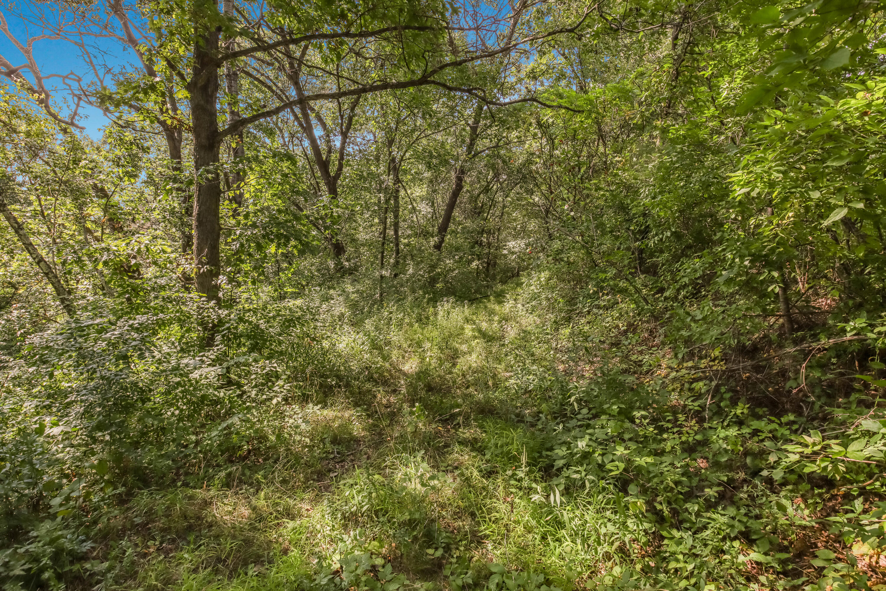 0 Joe Coulee Road Blair, WI 54616 - Photo 18 of 39 022_img_0494_245