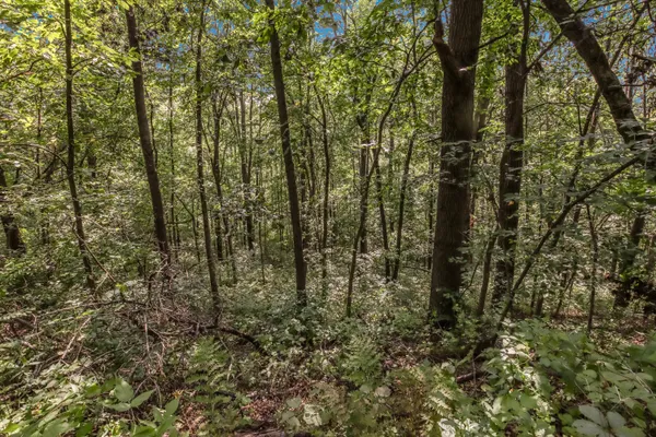 $640,000 | 0 Joe Coulee Road, Blair, WI 54616