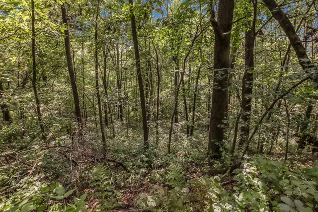 $680,000 | 0 Joe Coulee Road, Blair, WI 54616