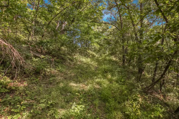 $640,000 | 0 Joe Coulee Road, Blair, WI 54616