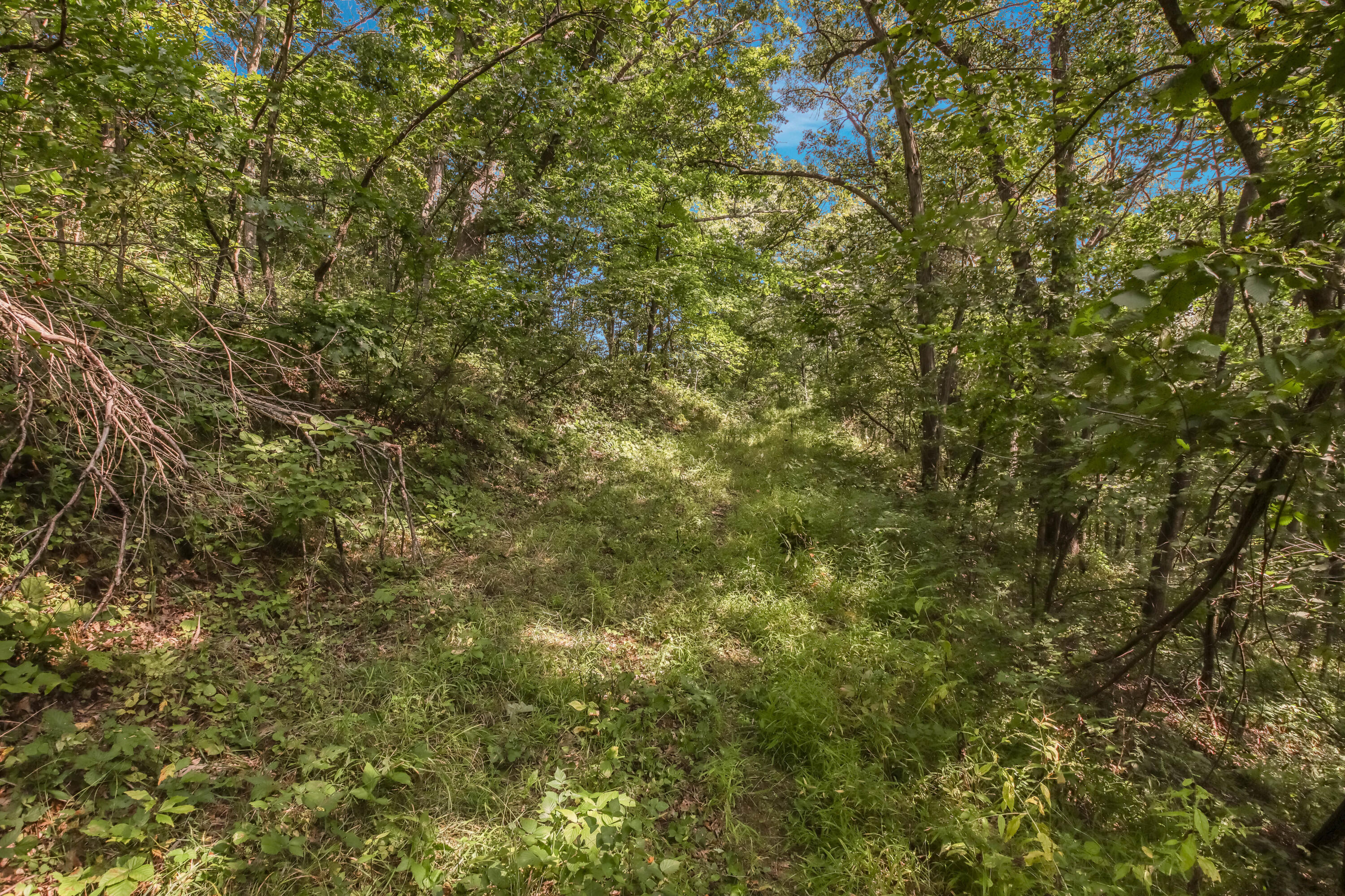 0 Joe Coulee Road Blair, WI 54616 - Photo 20 of 39 024_img_0509_281