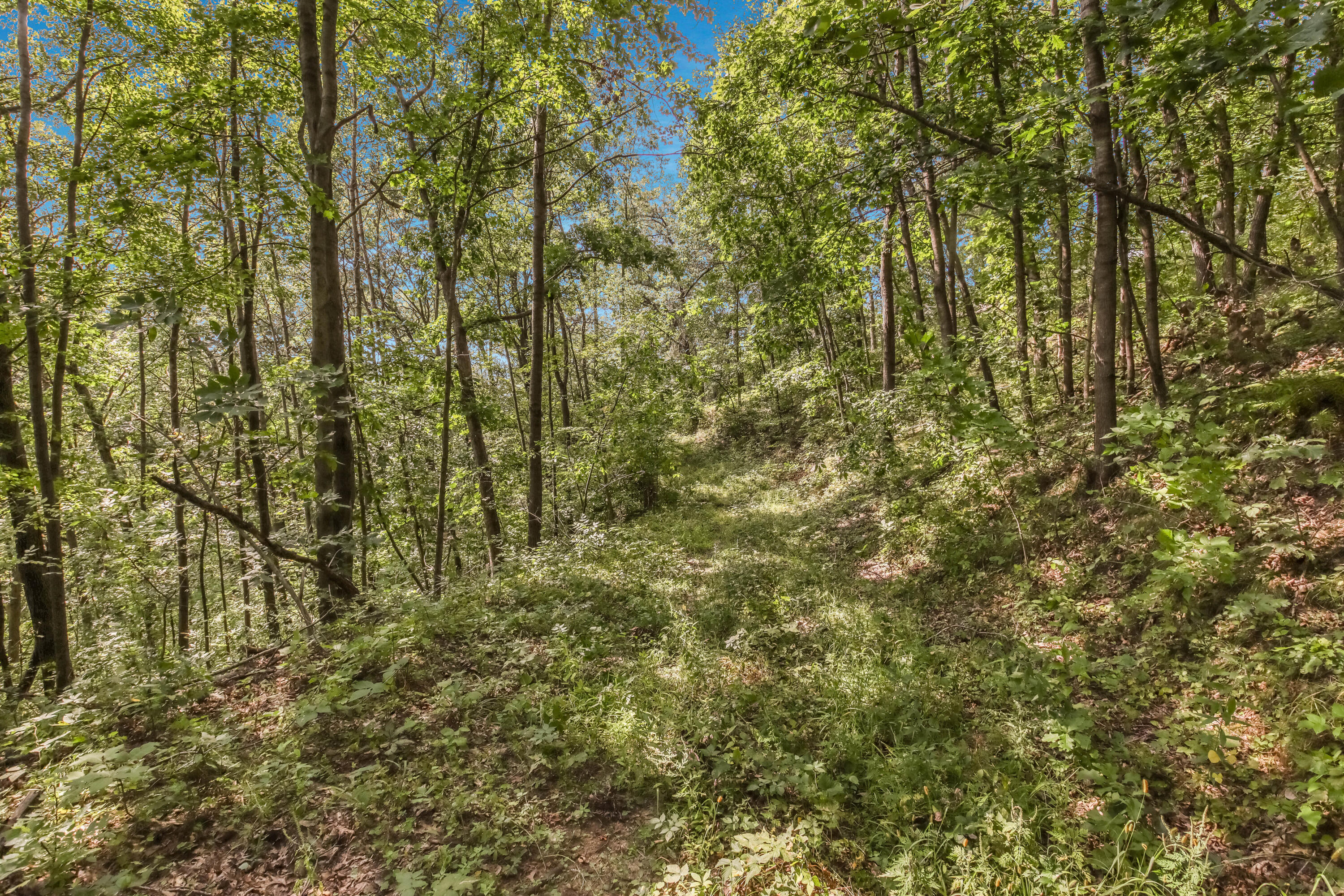 0 Joe Coulee Road Blair, WI 54616 - Photo 21 of 39 025_img_0514_569