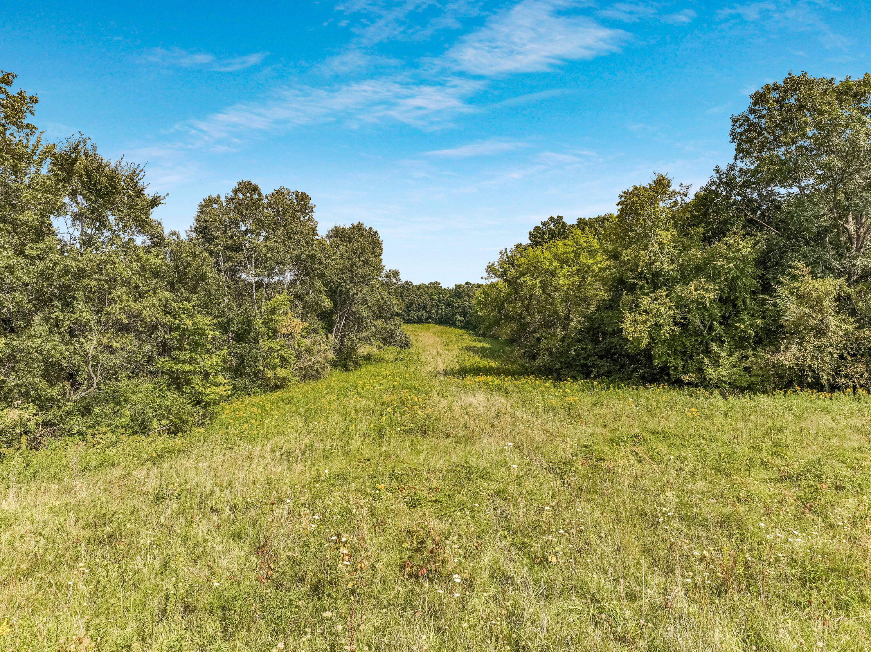 0 Joe Coulee Road Blair, WI 54616 - Photo 25 of 39 029_dji_0660_193