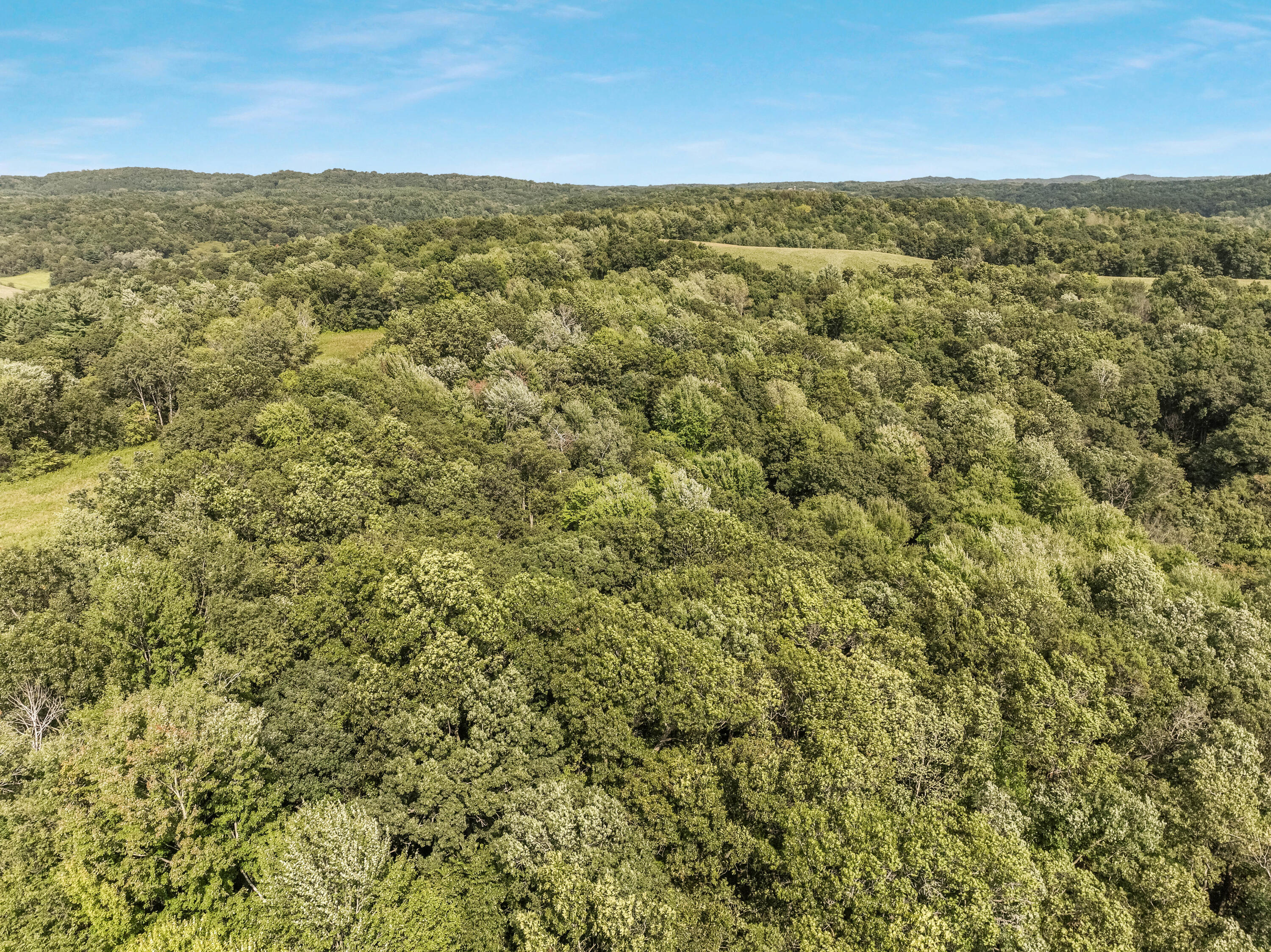 0 Joe Coulee Road Blair, WI 54616 - Photo 30 of 39 034_dji_0692_449