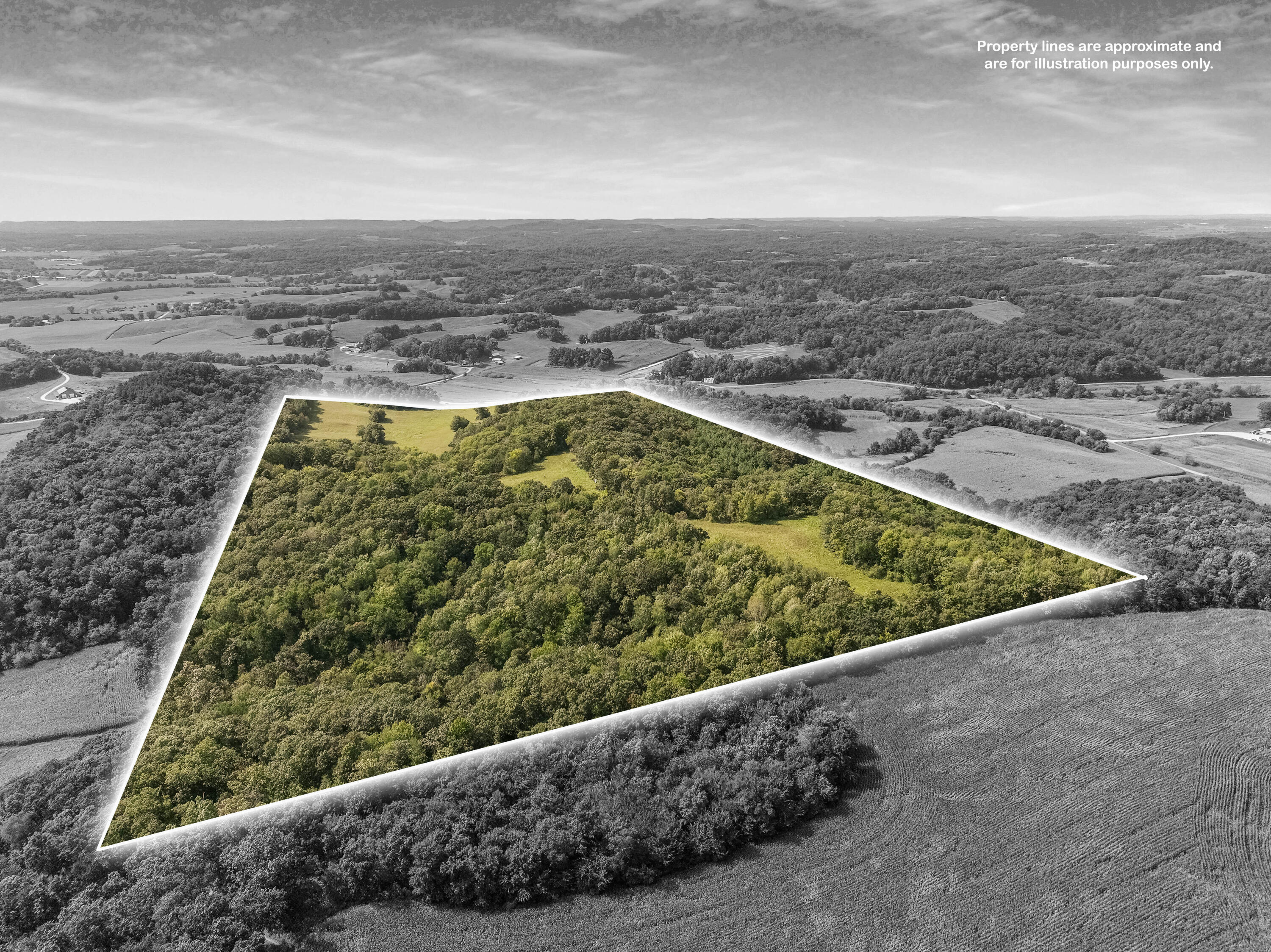 0 Joe Coulee Road Blair, WI 54616 - Photo 4 of 39 006_dji_0671_bw_505