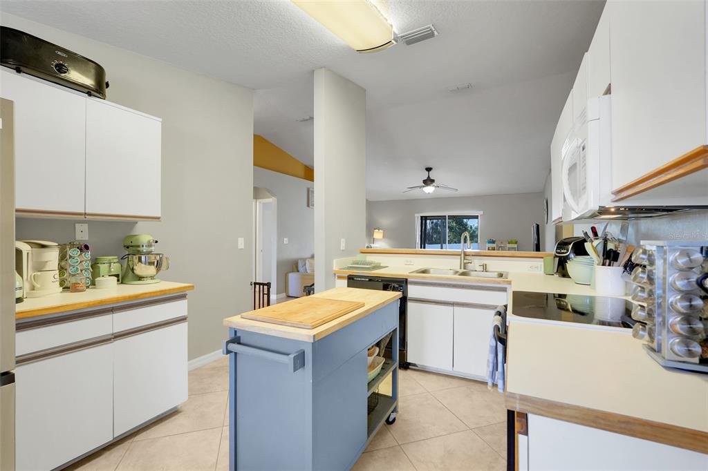 14 Bay Ridge Loop Mascotte, FL 34753 - Photo 15 of 34