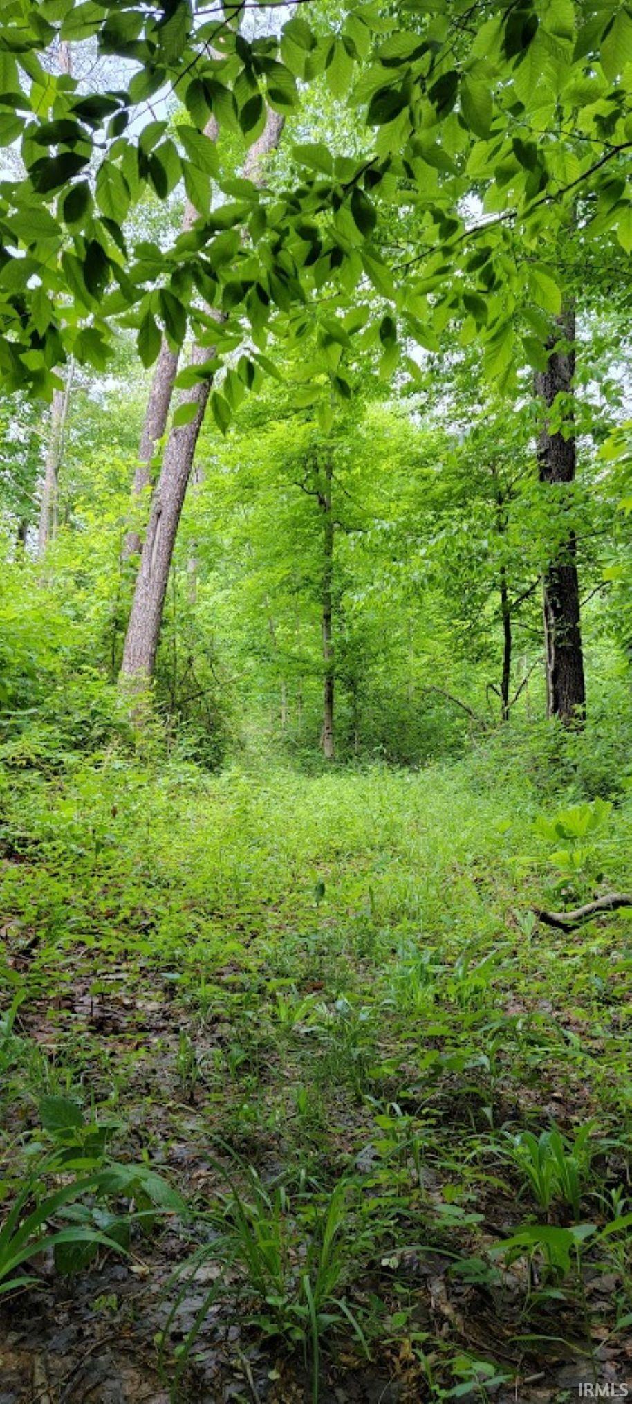 1771 North Peacock Hollow Road Salem, IN 47167 - Photo 29 of 36