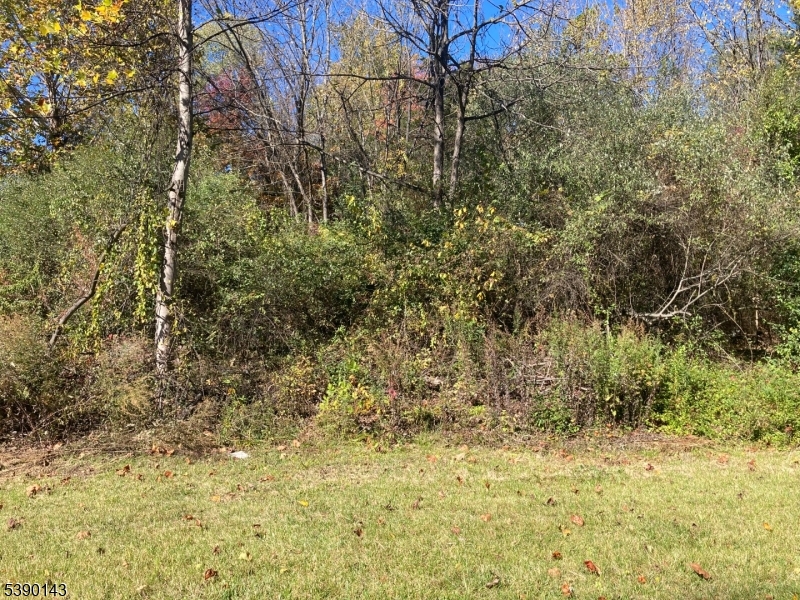 a view of a yard of a building