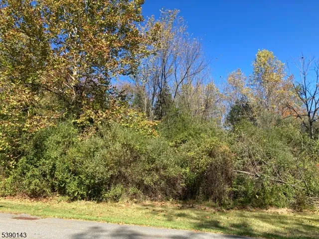 a view of a yard with large trees
