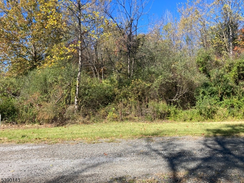 1 Bridge Road Columbia, NJ 07832 - Photo 3 of 10 a view of a yard with a tree
