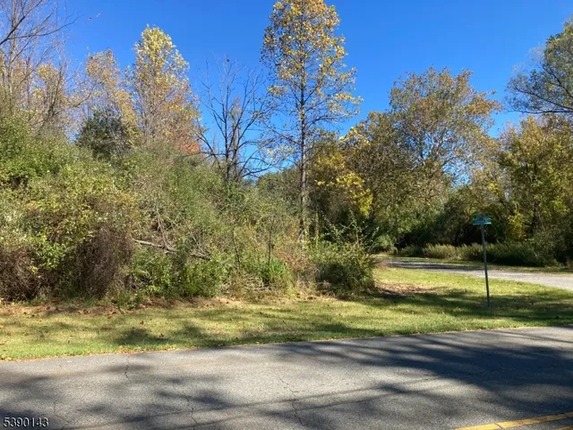 a view of a yard with large trees