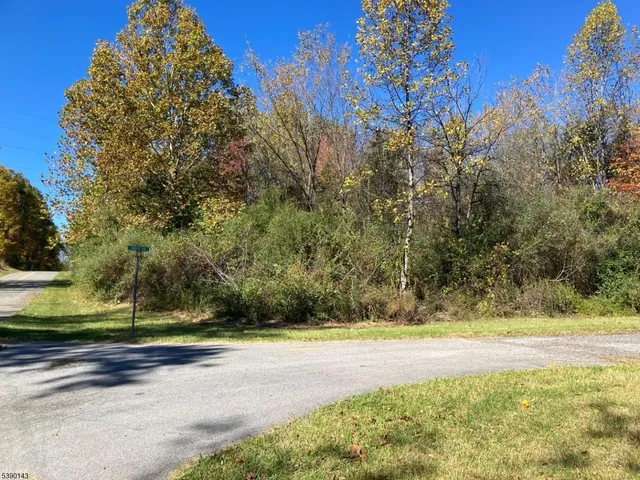 a view of swimming pool with an outdoor space