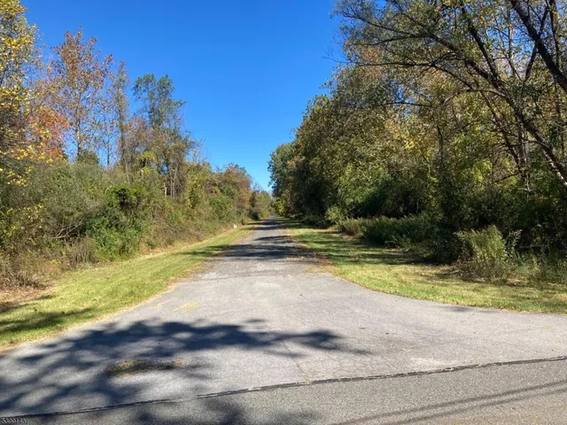 a view of yard with green space