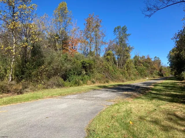 a view of a yard with an trees