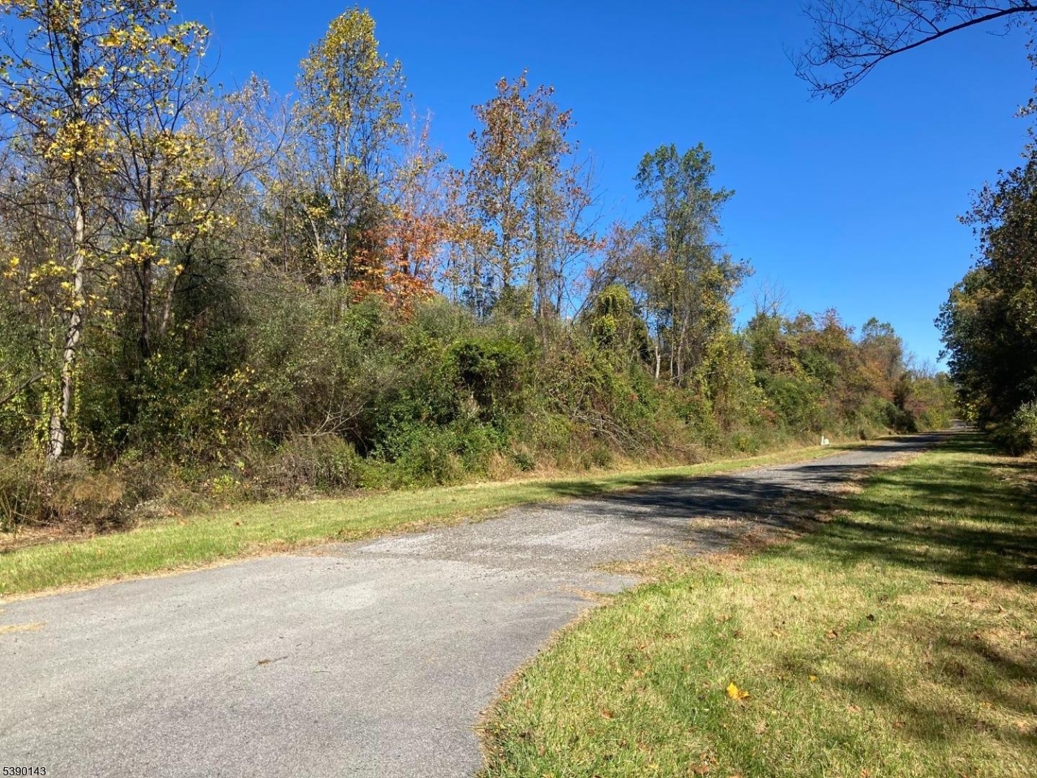 1 Bridge Road Columbia, NJ 07832 - Photo 9 of 10 a view of a yard with an trees