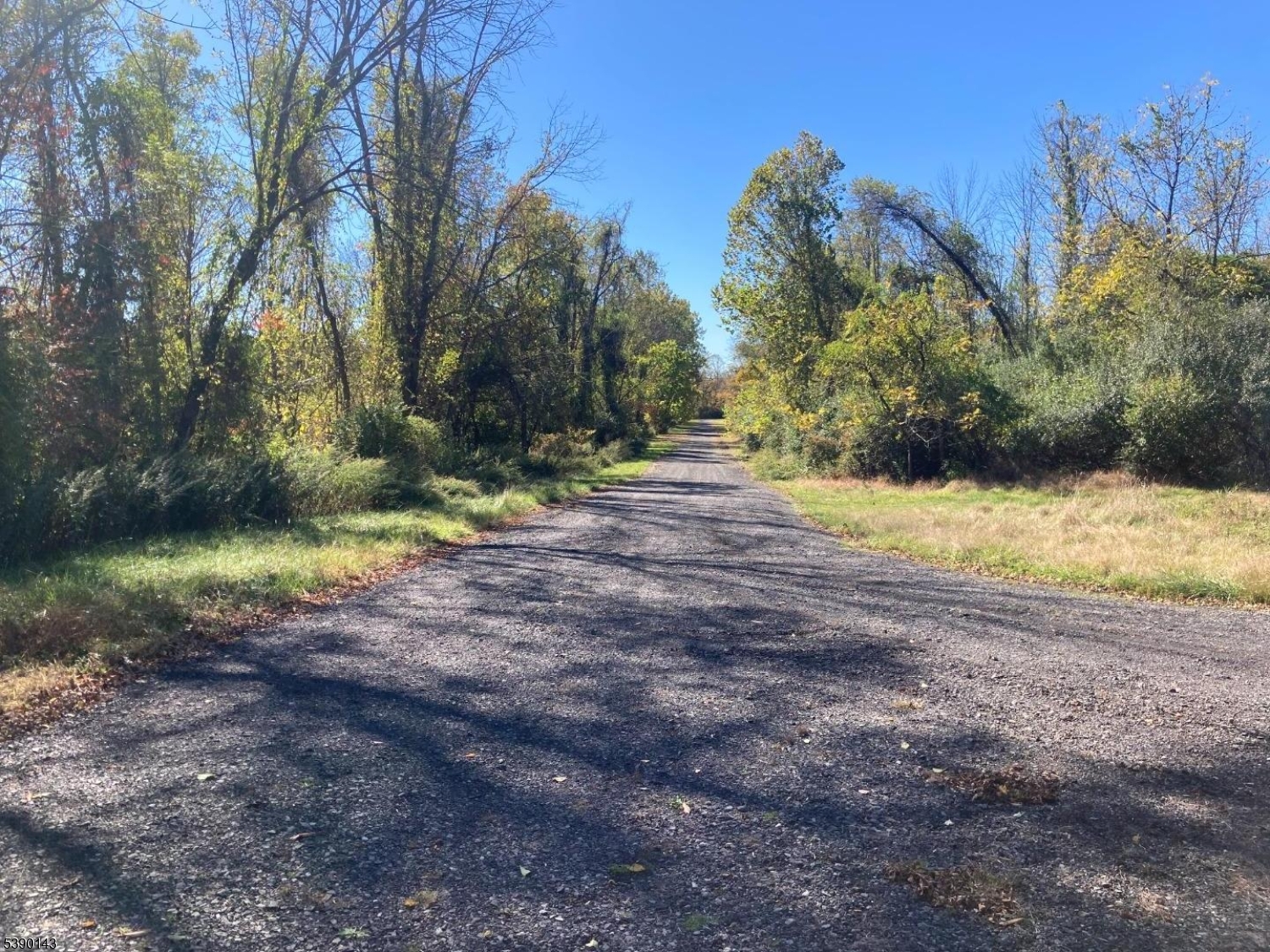 1 Bridge Road Columbia, NJ 07832 - Photo 10 of 10 a view of dirt yard with a large tree