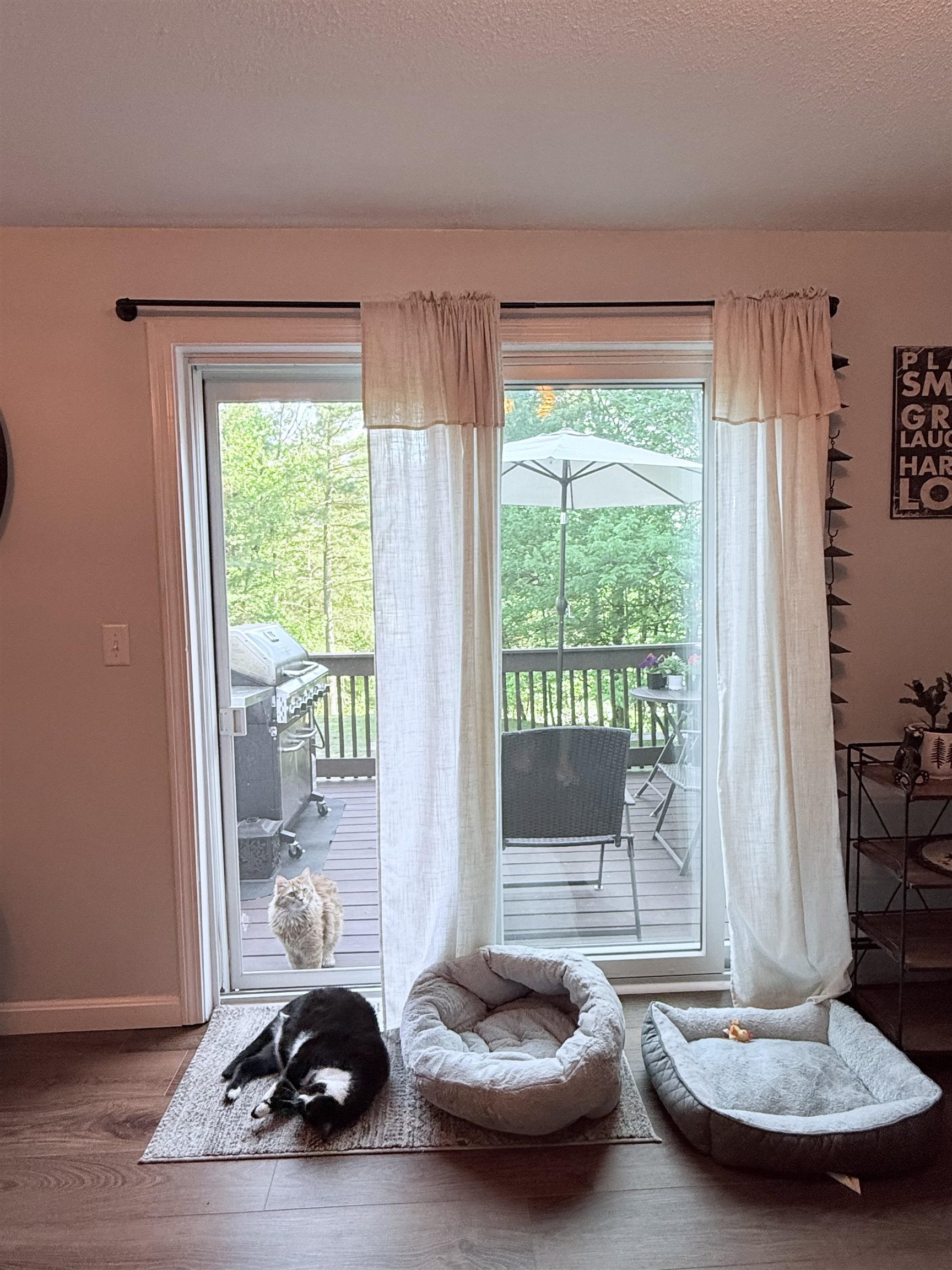 220 Hubbard Pond Road, Unit 2 New Ipswich, NH 03071 - Photo 7 of 28
