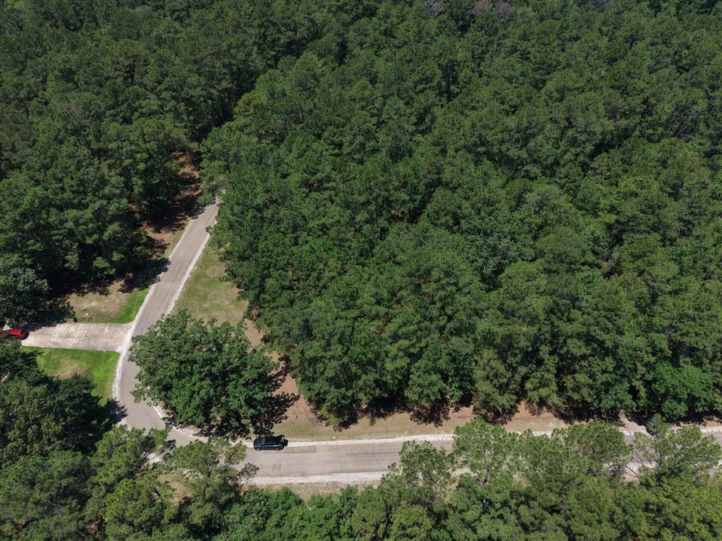 Lot 19 B H Carroll Street Trinity, TX 75862 - Photo 4 of 14