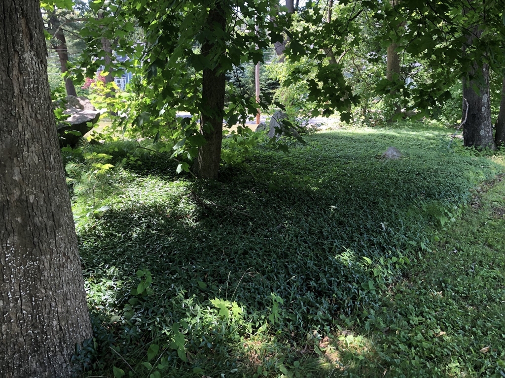 322 River Road Andover, MA 01810 - Photo 4 of 42