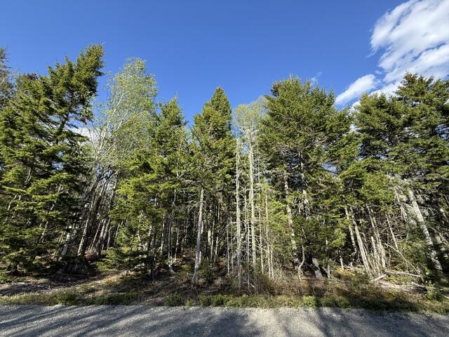 Lot 13 Pidgeon Point Road Whiting, ME 04691 - Photo 11 of 25 IMG_9958 (1)